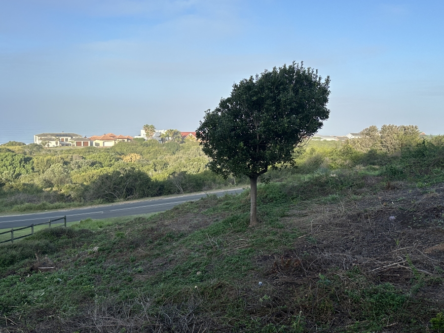 0 Bedroom Property for Sale in Outeniqua Strand Western Cape